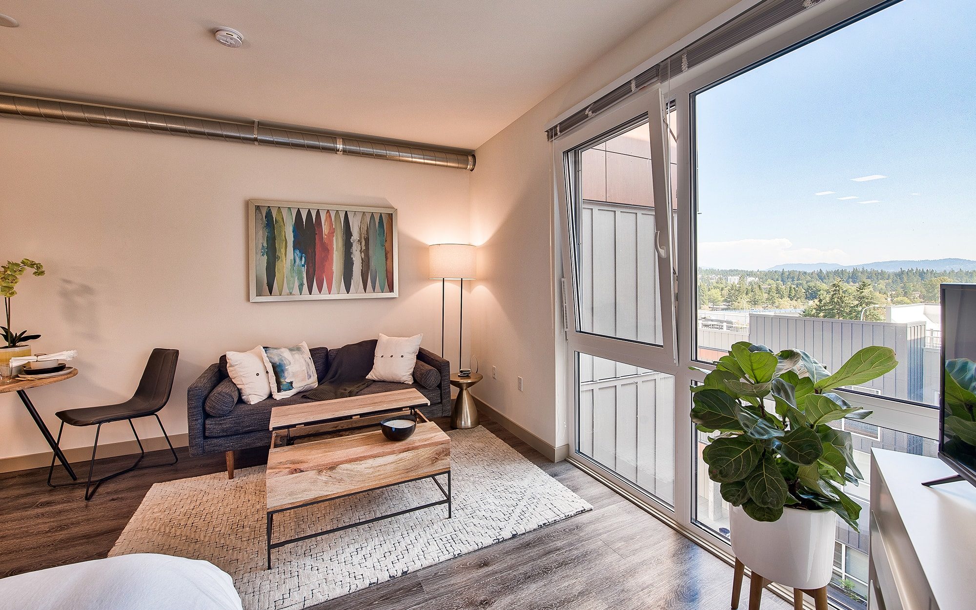 Bell Overlake Elegant Redmond Apartments Photo Gallery