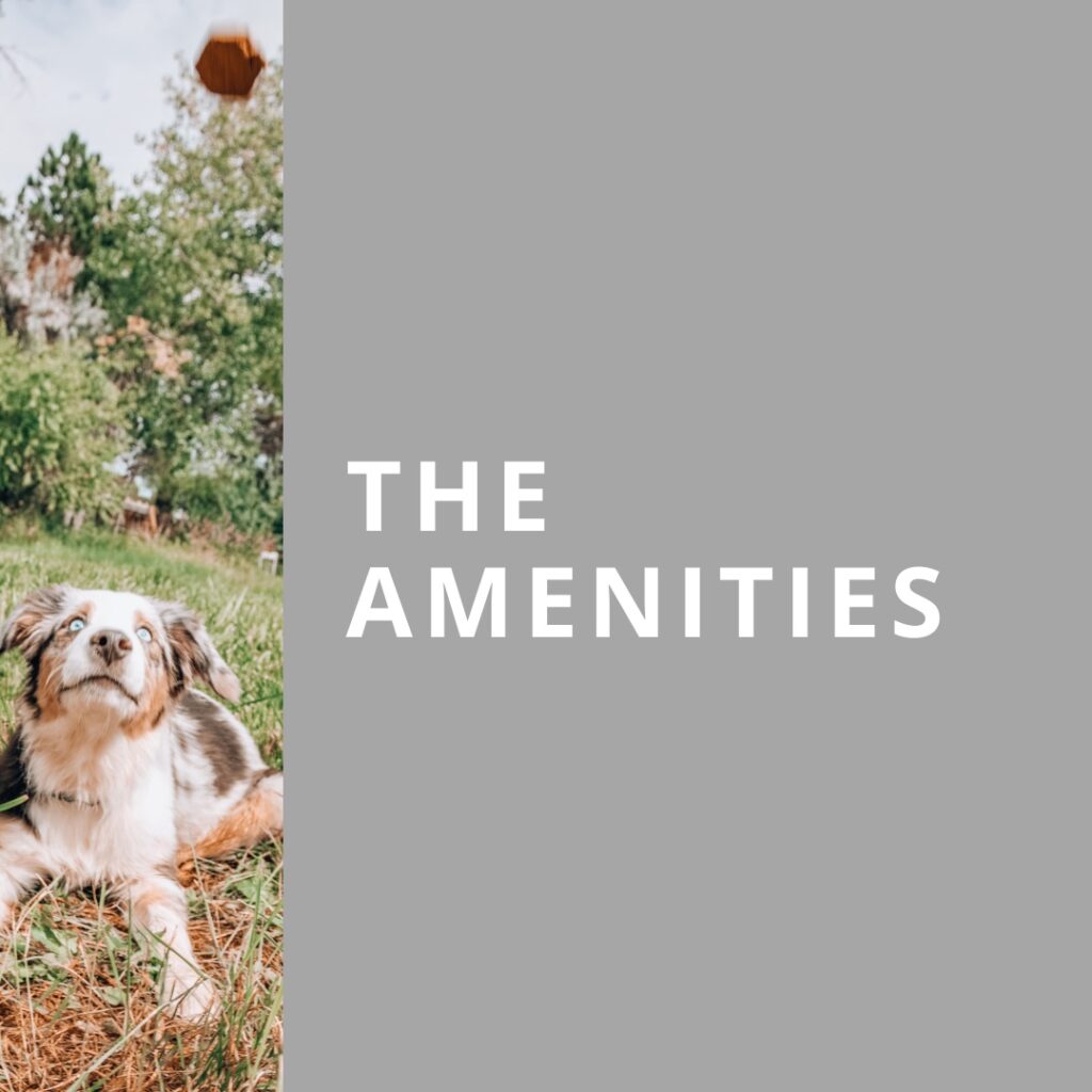 The Amenities Video Thumbnail